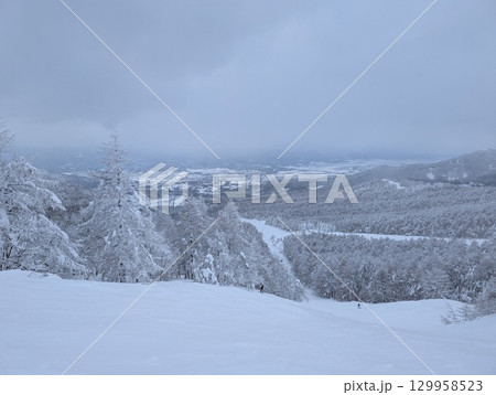 山形蔵王温泉スキー場 樹氷群 樹氷原 129958523