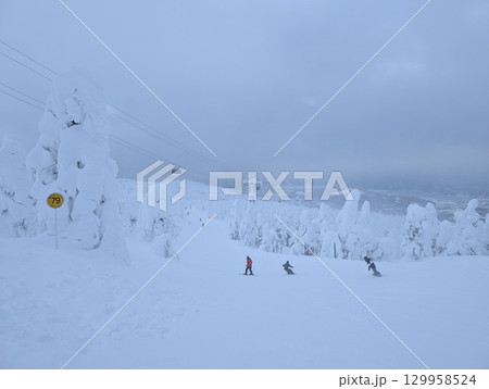 山形蔵王温泉スキー場 樹氷群 樹氷原 129958524
