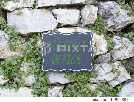Flexible Office symbol. Stone wall with words Flexible Office. Beautiful stone background with plants. Business and Flexible Office concept. Copy space. 129958815