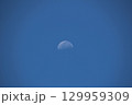 青空に浮かぶ半月 129959309