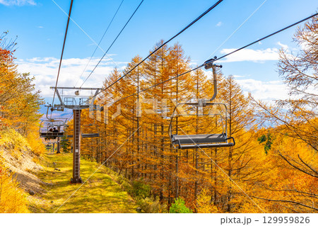 秋の清里　山梨県 129959826
