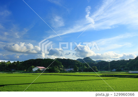 夏の田園風景 129960366