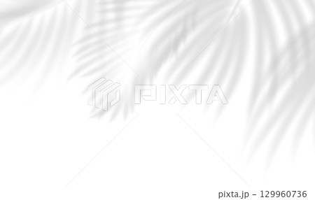 Transparent shadow overlay effect tropical leaves. Realistic shadow of palm branch. Mockup of transparent tropic leaves shadow and natural lightning. Vector illustration 129960736