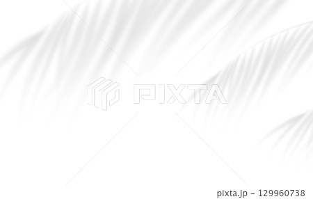 The transparent shadow overlay effect bamboo leaves isolated on transparent background. Background illuminated by sunlight through tropical foliage. Vector illustration The transparent shadow overlay effect bamboo leaves isolated on transparent background. Background illuminated by sunlight through tropical foliage. Vector illustration 129960738