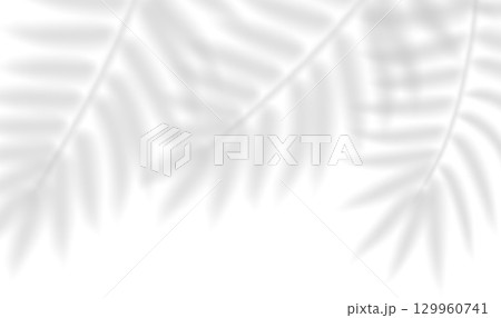 Realistic shadow of tropical leaves. Transparent shadow overlay effect palm, bamboo, fern branches. Mockup of tropic leaves shadow and natural lightning. Vector illustration Realistic shadow of tropical leaves. Transparent shadow overlay effect palm, bamboo, fern branches. Mockup of tropic leaves shadow and natural lightning. Vector illustration 129960741