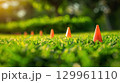 Orange cones in bright green grass 129961110