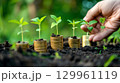 Plants growing on stacked coins 129961119