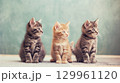 Three kittens with curious looks 129961120