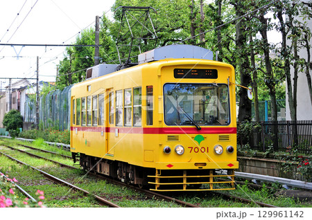都電荒川線　荒川一中前　東京都電　7000形　7001 129961142