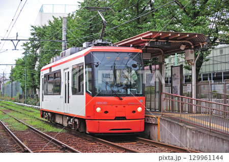都電荒川線 荒川一中前 東京都電 8800形 8808 都電荒川線 荒川一中前 東京都電 8800形 8808 129961144