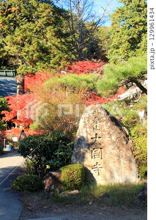大国寺紅葉 大国寺紅葉 129961434