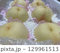 岡山県の白桃 129961513