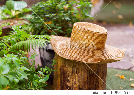 Straw garden hat on tree stump with blurred plants and cozy green garden in background in summer day Straw garden hat on tree stump with blurred plants and cozy green garden in background in summer day 129961555