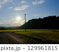 夕日に照らされた田んぼ 129961815