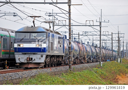 東北本線　栗橋ー東鷲宮　JR貨物　EF210-123（新鶴見） 129961819