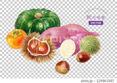 秋の収穫物を集めた水彩イラスト。柿、栗、サツマイモ、カボチャ(ベクター) 秋の収穫物を集めた水彩イラスト。柿、栗、サツマイモ、カボチャ(ベクター) 129961887