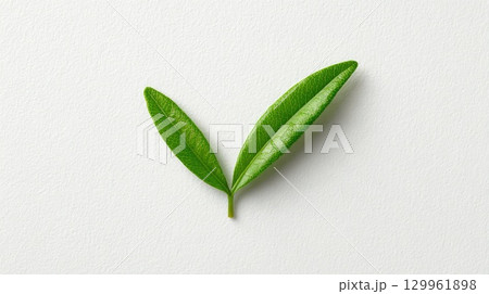 Eco Check Mark Made of Green Leaves 129961898