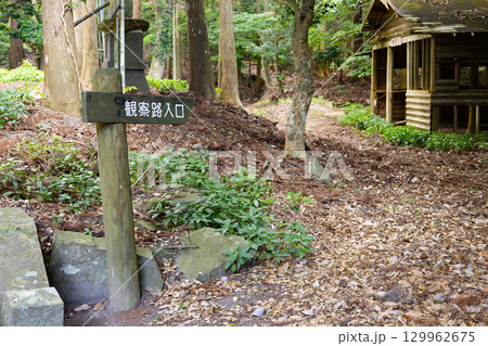 対馬國一宮 海神神社にある 木坂野鳥の森 観察路 対馬國一宮 海神神社にある 木坂野鳥の森 観察路 129962675