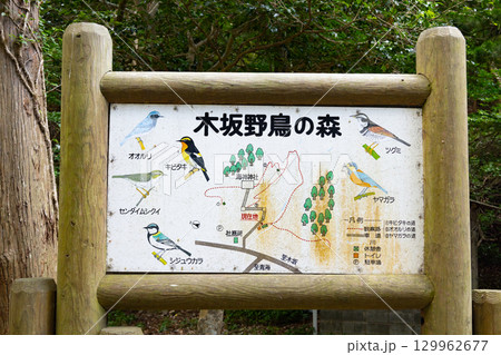 対馬國一宮　海神神社にある　木坂野鳥の森　看板 129962677