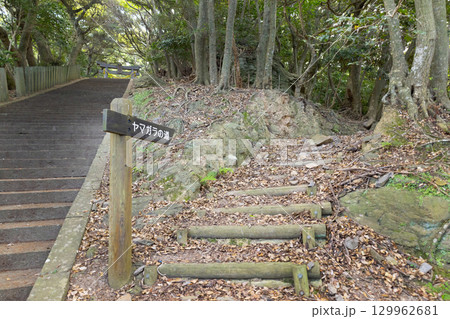 対馬國一宮　海神神社　ヤマガラの道 129962681