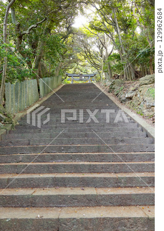 対馬國一宮　海神神社　三の鳥居へ続く石段 129962684