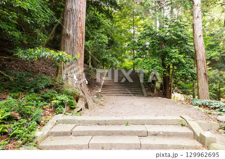 対馬國一宮　海神神社 参道 129962695