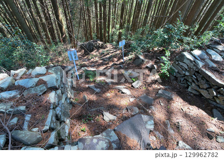 大分県中津市 県指定史跡「長岩城」 (豊前国) 石垣と曲輪の様子 大分県中津市 県指定史跡「長岩城」 (豊前国) 石垣と曲輪の様子 129962782