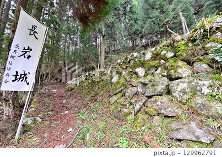 大分県中津市　県指定史跡「長岩城」 (豊前国)　石垣と曲輪の様子 129962791