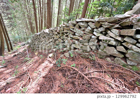 大分県中津市　県指定史跡「長岩城」 (豊前国)　石垣と曲輪の様子 129962792