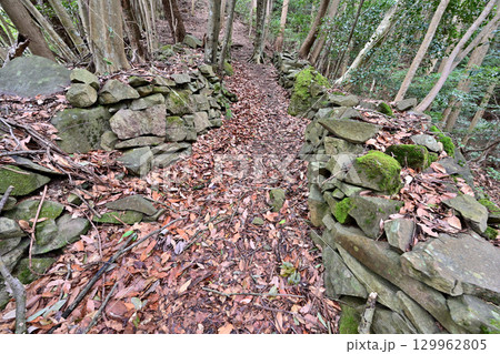 大分県中津市　県指定史跡「長岩城」 (豊前国)　石垣と曲輪の様子 129962805
