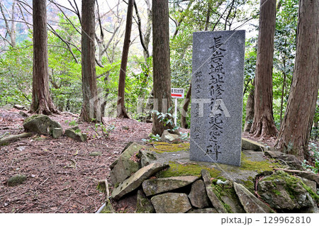 大分県中津市　県指定史跡「長岩城」 (豊前国)　石垣と曲輪の様子 129962810