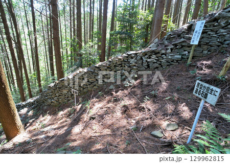 大分県中津市　県指定史跡「長岩城」 (豊前国)　石垣と曲輪の様子 129962815