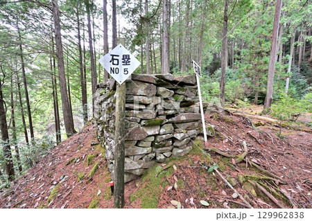 大分県中津市　県指定史跡「長岩城」 (豊前国)　石垣と曲輪の様子 129962838