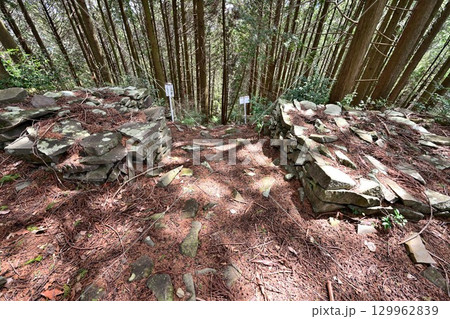 大分県中津市　県指定史跡「長岩城」 (豊前国)　石垣と曲輪の様子 129962839