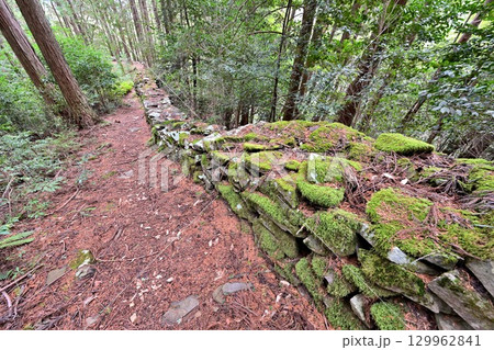 大分県中津市　県指定史跡「長岩城」 (豊前国)　石垣と曲輪の様子 129962841