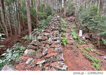 大分県中津市 県指定史跡「長岩城」 (豊前国) 石垣と曲輪の様子 大分県中津市 県指定史跡「長岩城」 (豊前国) 石垣と曲輪の様子 129962842