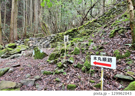 大分県中津市 県指定史跡「長岩城」 (豊前国) 石垣と曲輪の様子 大分県中津市 県指定史跡「長岩城」 (豊前国) 石垣と曲輪の様子 129962843