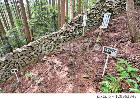 大分県中津市　県指定史跡「長岩城」 (豊前国)　石垣と曲輪の様子 129962845