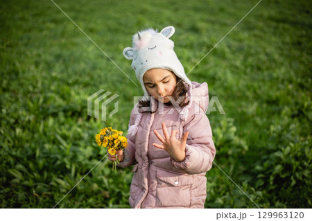 small girl with bouquet of dandelions in hand calculating the fingers on other hand 129963120
