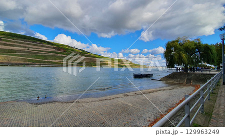View of the Main river, modern typical German houses, ship, vineyards, and big embankment with monument. 129963249