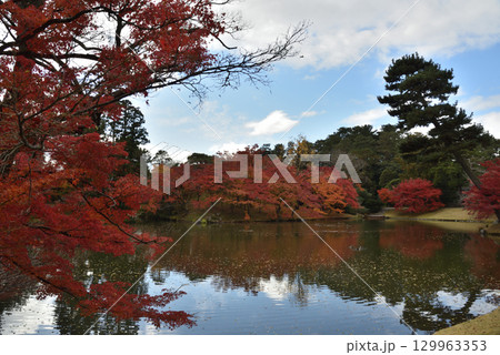 京都仙洞御所　秋の景色(京都市上京区) 129963353