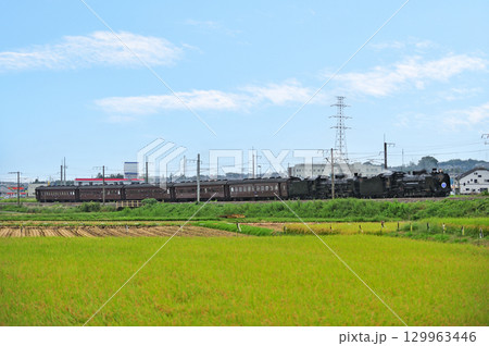上越線 八木原-渋川 JR東日本 D51-498+C61-20+旧客 SLググっとぐんまみなかみ 上越線 八木原-渋川 JR東日本 D51-498+C61-20+旧客 SLググっとぐんまみなかみ 129963446