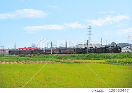 上越線 八木原-渋川 JR東日本 D51-498+C61-20+旧客 SLググっとぐんまみなかみ 上越線 八木原-渋川 JR東日本 D51-498+C61-20+旧客 SLググっとぐんまみなかみ 129963447