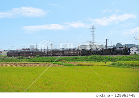 上越線 八木原-渋川 JR東日本 D51-498+C61-20+旧客 SLググっとぐんまみなかみ 上越線 八木原-渋川 JR東日本 D51-498+C61-20+旧客 SLググっとぐんまみなかみ 129963449