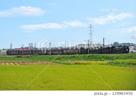 上越線　八木原－渋川　JR東日本　D51-498＋C61-20＋旧客　SLググっとぐんまみなかみ 129963450