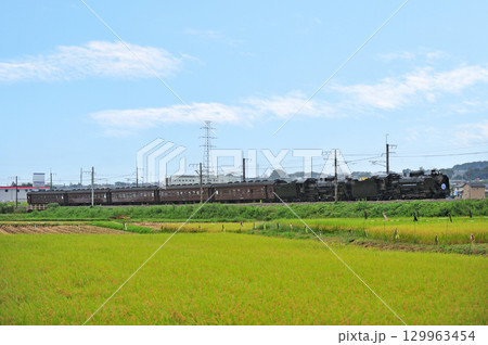上越線　八木原－渋川　JR東日本　D51-498＋C61-20＋旧客　SLググっとぐんまみなかみ 129963454
