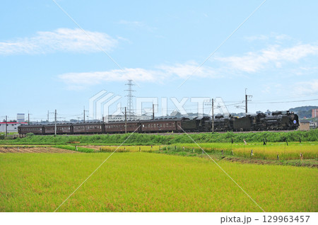 上越線　八木原－渋川　JR東日本　D51-498＋C61-20＋旧客　SLググっとぐんまみなかみ 129963457