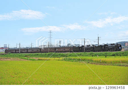 上越線 八木原-渋川 JR東日本 D51-498+C61-20+旧客 SLググっとぐんまみなかみ 上越線 八木原-渋川 JR東日本 D51-498+C61-20+旧客 SLググっとぐんまみなかみ 129963458