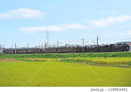 上越線 八木原-渋川 JR東日本 D51-498+C61-20+旧客 SLググっとぐんまみなかみ 上越線 八木原-渋川 JR東日本 D51-498+C61-20+旧客 SLググっとぐんまみなかみ 129963462