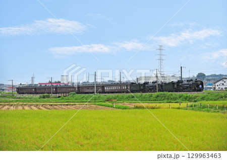 上越線　八木原－渋川　JR東日本　D51-498＋C61-20＋旧客　SLググっとぐんまみなかみ 129963463
